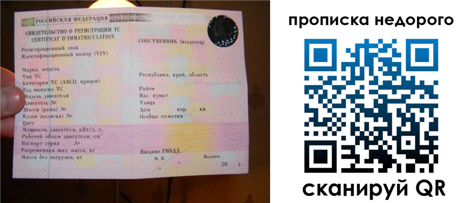 миграционный учет в Краснодарском крае